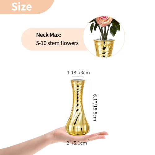 Gold Glass Bud Vase (6 Count)