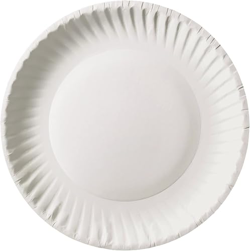 9 Inch Paper Plates Bulk (1200 Count)