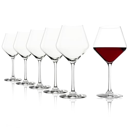 Revolution Burgundy Red Wine Glasses 18 1 (6 Count)