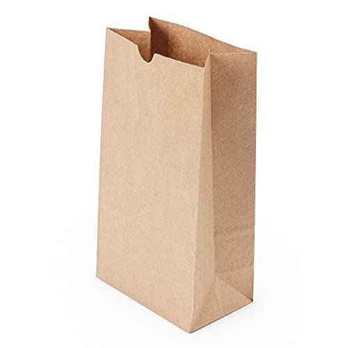 Bag Tek 6 LB Disposable Lunch Bags 100 Sturdy Take (100 Count)