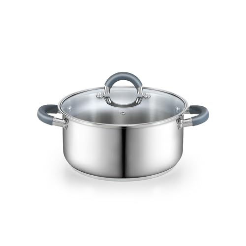 Basics 5.5 Quart Stainless Steel Stock Pot with Lid