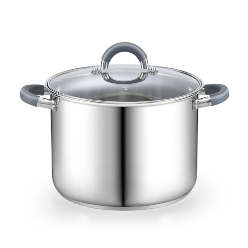 Basics 12 Quart Stainless Steel Stock Pot with Lid