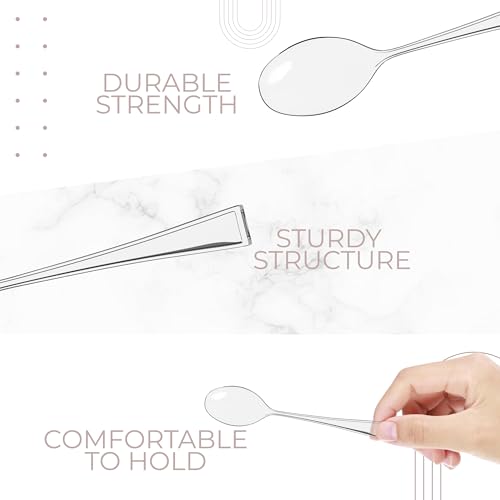 Mini Dessert Spoons (100 Count)
