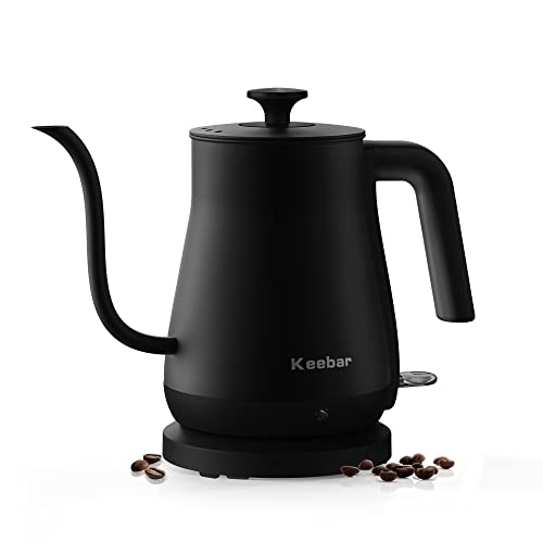 Electric Gooseneck Kettle