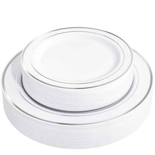 60PCS Silver Plastic Plates (60 Count)