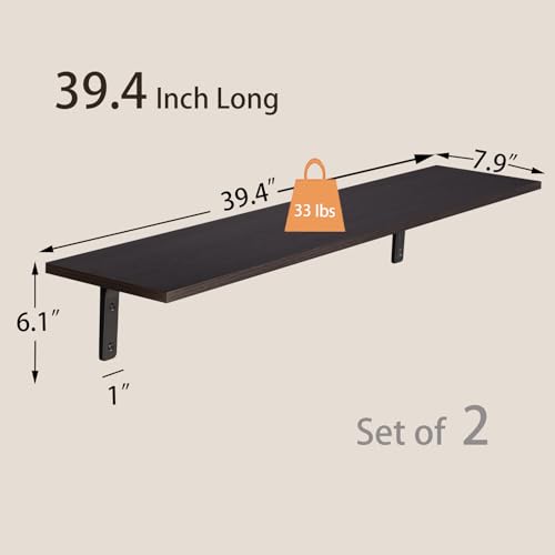Long Wall Shelves (2 Count)