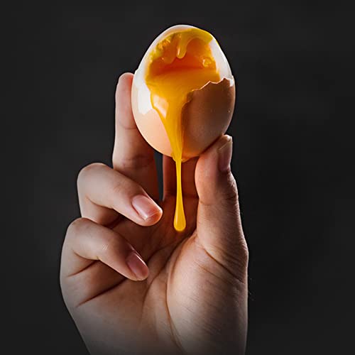 Electric Egg Cooker