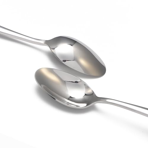 8 Piece Spoons Set (8 Count)