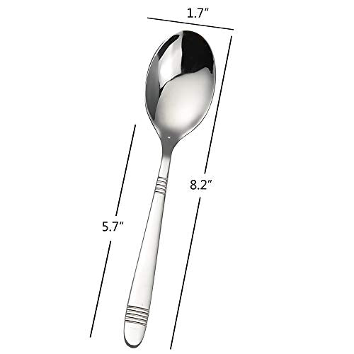 12 Pieces Stainless Steel Dinner Spoons (12 Count)
