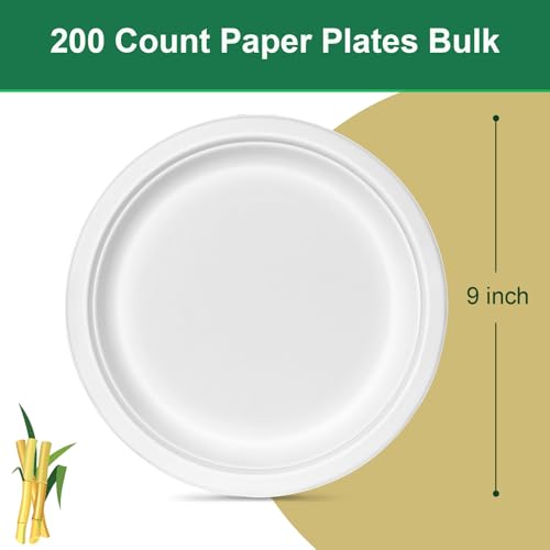 9 inch Disposable Paper Plates 200 Pack (200 Count)