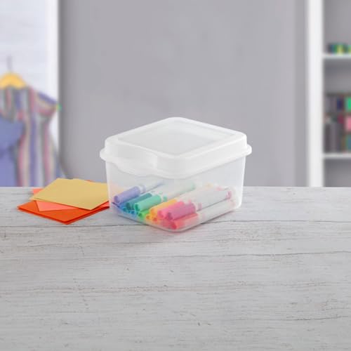18038612 Small Flip Top Storage Box (24 Count)
