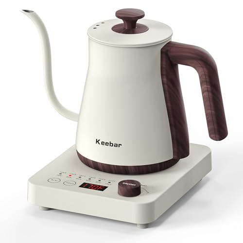 Gooseneck Electric Kettle