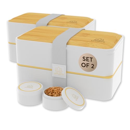 Bento Box Adult All
