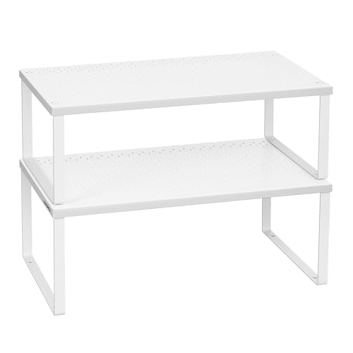 Set of 2 Metal Spice Racks (2 Count)