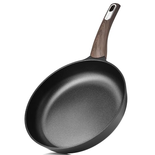 9.5Inch Nonstick Frying Pan Paella Pan