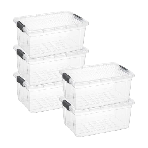Storage Bins with Lids (5 Count)
