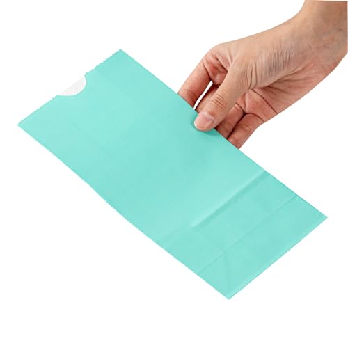 Turquoise Paper Bag (100 Count)