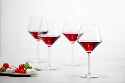 Pure Burgundy Red Wine Glass (4 Count)