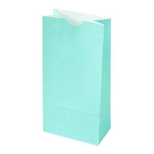 Turquoise Paper Bag (100 Count)