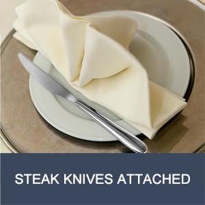 Stainless Steel 18PCS Dinner Set combo with 6 Dinner Knives (18 Count)