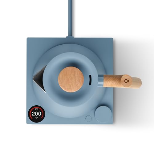 Corvo EKG Pro Small Electric Tea Kettle for Coffee
