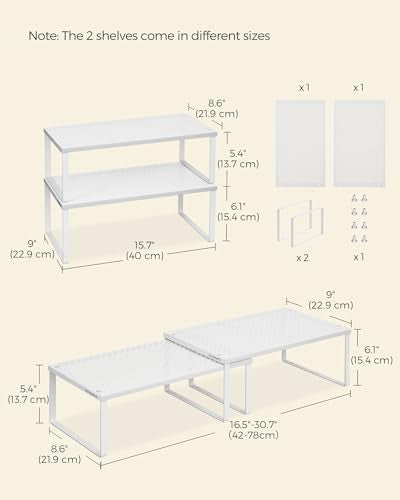 Set of 2 Metal Spice Racks (2 Count)