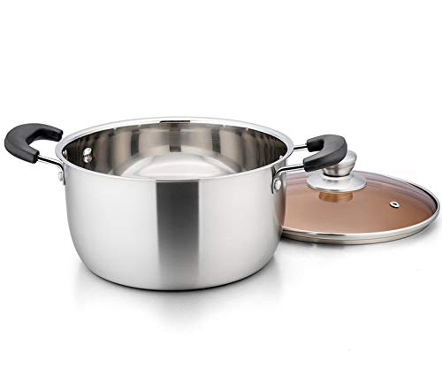 6 Qt Stockpot with Lid