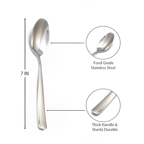 8 Piece Spoons Set (8 Count)