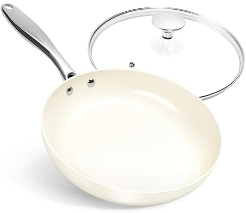 10 Inch Nonstick Frying Pan with Lid