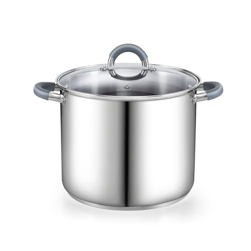Basics 8 Quart Stainless Steel Stock Pot with Lid