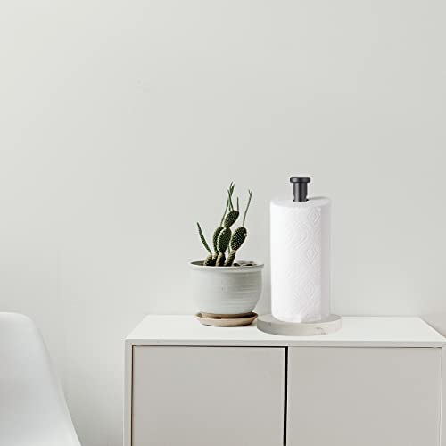 Paper Towel Holder Countertop