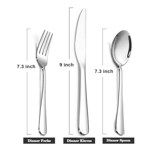 Stainless Steel 12PCS Dinner Set combo with 4 Dinner Knives (12 Count)