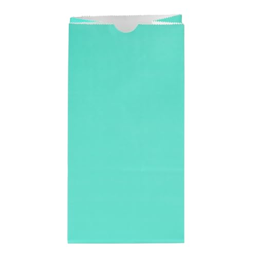 Turquoise Paper Bag (100 Count)