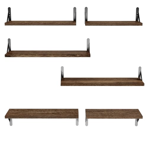Amada Solid Paulownia Wood Wall Shelves (6 Count)