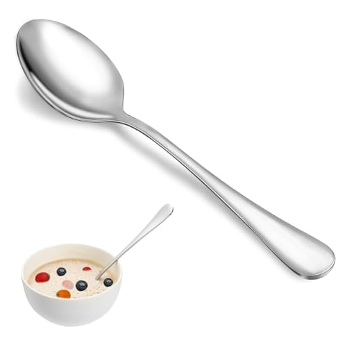 12 Pcs Dinner Spoon Set (12 Count)