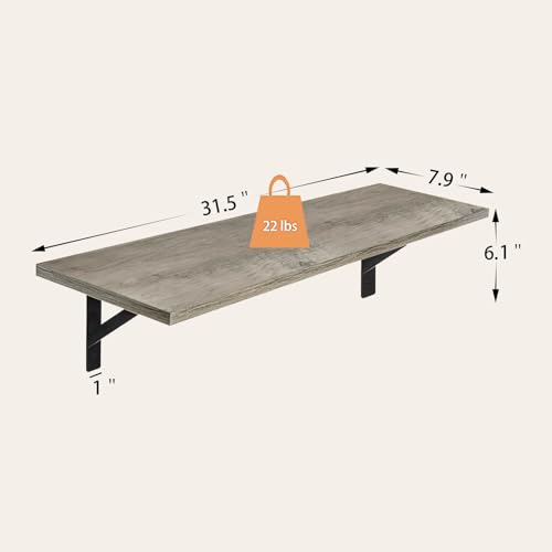 Long Wall Shelves (2 Count)