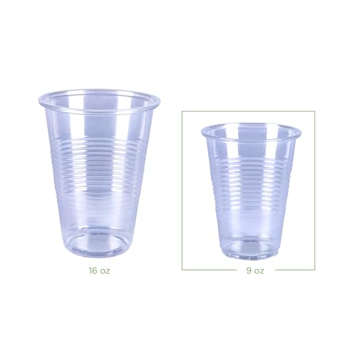 Small Disposable Clear Plastic Cups (100 Count)