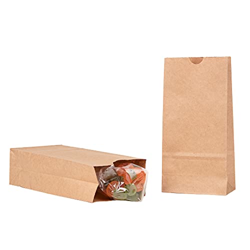 Bag Tek 2 LB Disposable Lunch Bags 100 Sturdy Take Out Bags (100 Count)