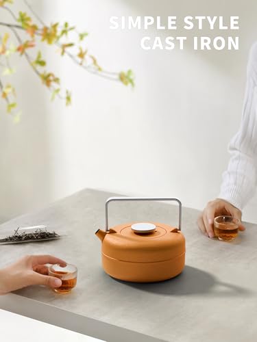 Teapot with Removable Infuser