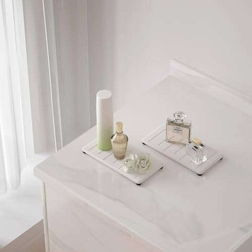 2PCS Water Absorbing Stone Tray for Cosmetics & Hand Soap & Houseplants (2 Count)