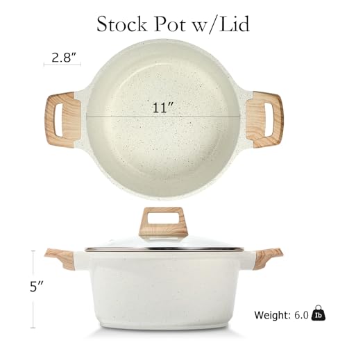 Nonstick Stock Pot with Lid