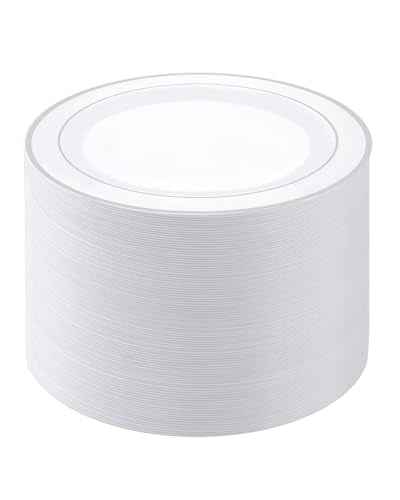 100PCS Silver Plastic Plates (100 Count)