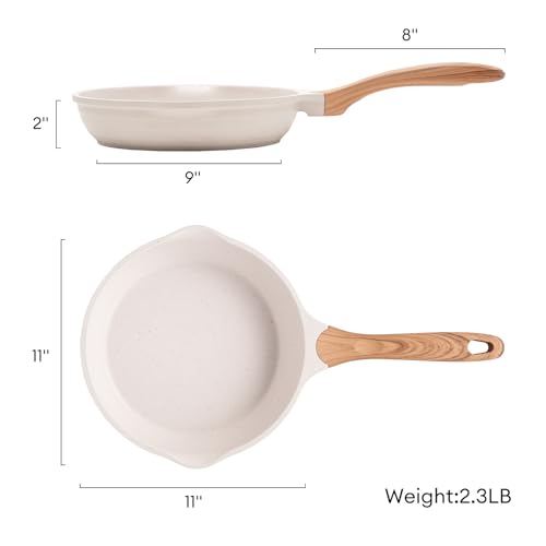 11 Inch Nonstick Frying Pan Skillet with Dual Spouts Cooking Pan