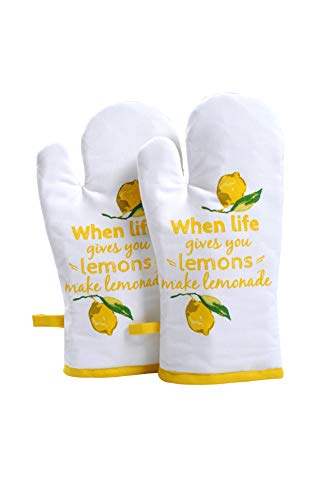 Oven Mitts Set of 1 Quilted Liner with Hanging Loop Non Slip (2 Count)