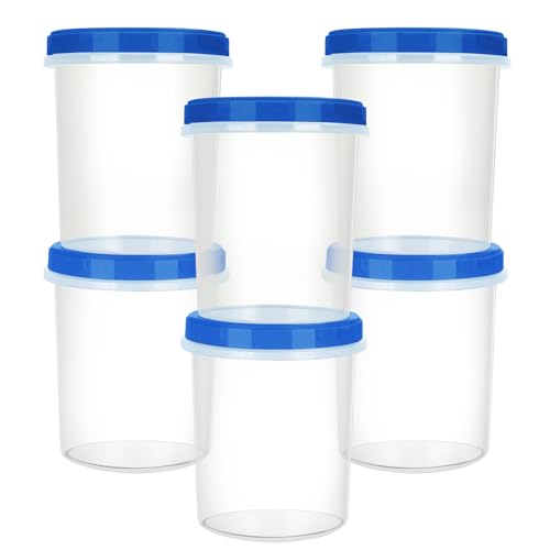 Heavy Duty Airtight Plastic Containers with Twist Top Lids (6 Count)
