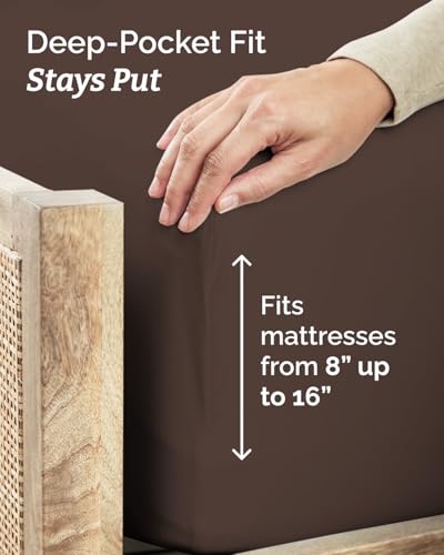 Full XL Sheets (4 Count)