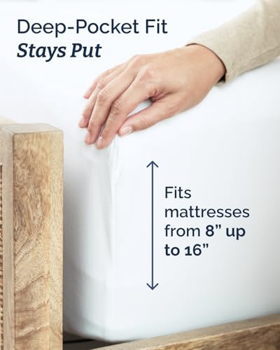 Full XL Sheets (4 Count)