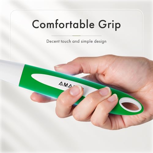 Dish Brush with Handle (2 Count)