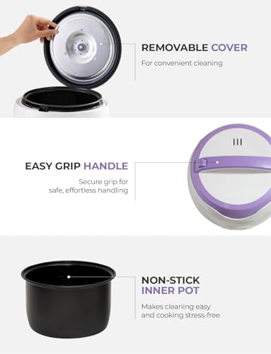 Rice Cooker and Warmer
