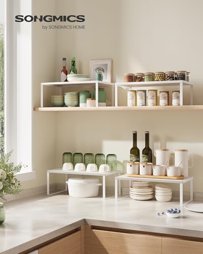 Set of 2 Metal Spice Racks (2 Count)